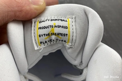 Jordan Air 678 AH7860-107 EasyMatch “Yellow 11 Low Snakeskin” 0926